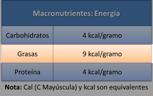 cuantas calorias por gramo aportan las proteinas cuantas calorias por gramo aportan las proteinas